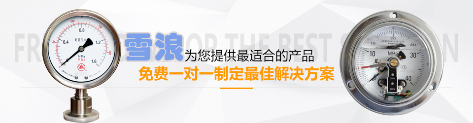 雪浪免費(fèi)一對一制定更佳的解決方案